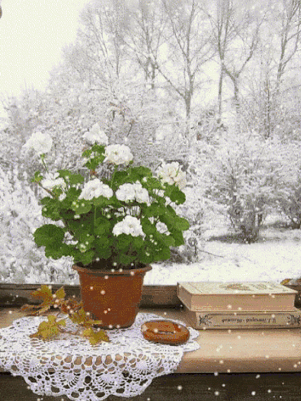 03.1.g g gif.gif38.gif38.gifУ.gifМ1