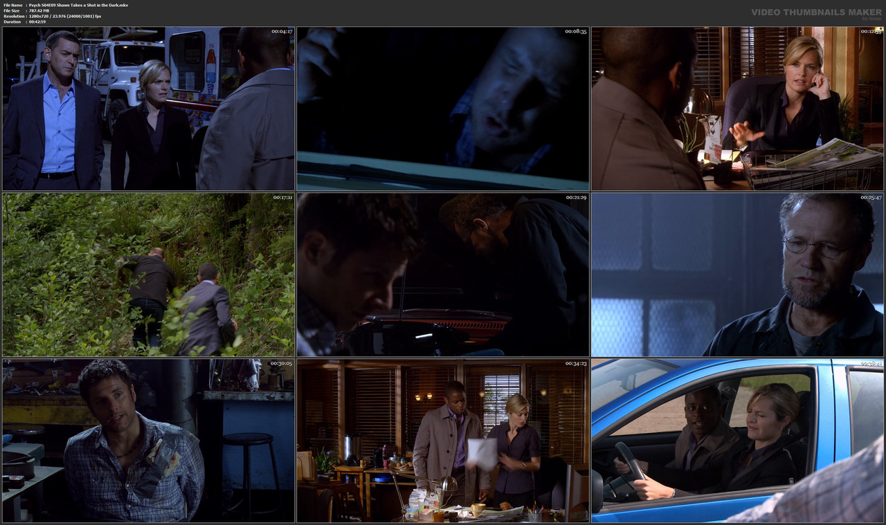 Psych S04E09 Shawn Takes a Shot in the Dark.mkv