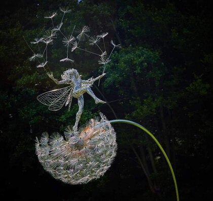 Dandelion-Wire