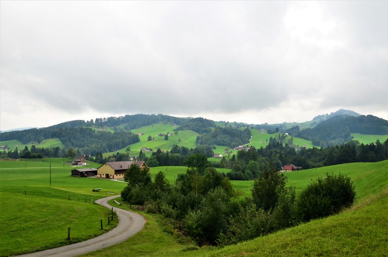 Suiza y sus pueblos-2019 - Blogs de Suiza - APPENZELL-6-9-2019 (15)