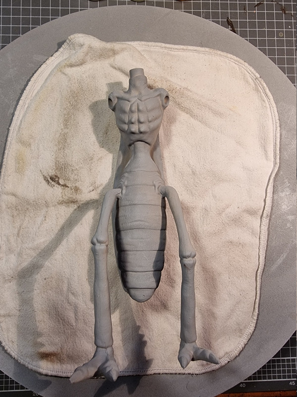 Primed torso and legs