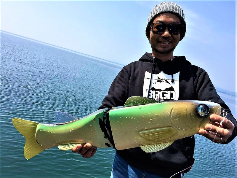 SUPLEX CORESIDE ♯FOG Giant Hardbaits - The Underground - Swimbait Underground