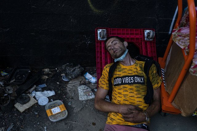 https://i.postimg.cc/c1jG9Gjr/owl-wide-1200-d7400b7c19572a118f0d6730915a1e4a.jpg