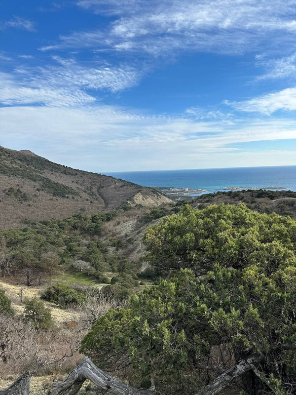 IMG_20230402_223115_304