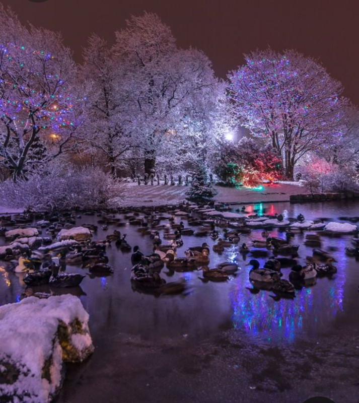 Screenshot_20231010_233758_Pinterest