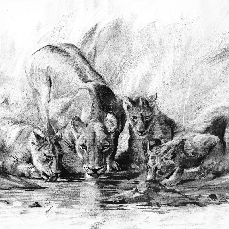 DScc225 Mother and cubs drinking