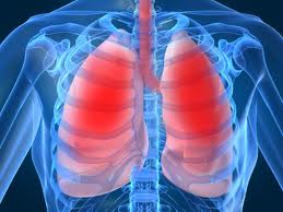 Fisioterapia Respiratoria