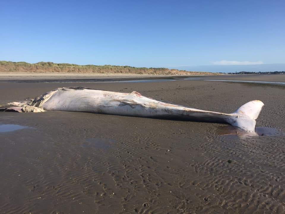 FB_IMG_1570362987573