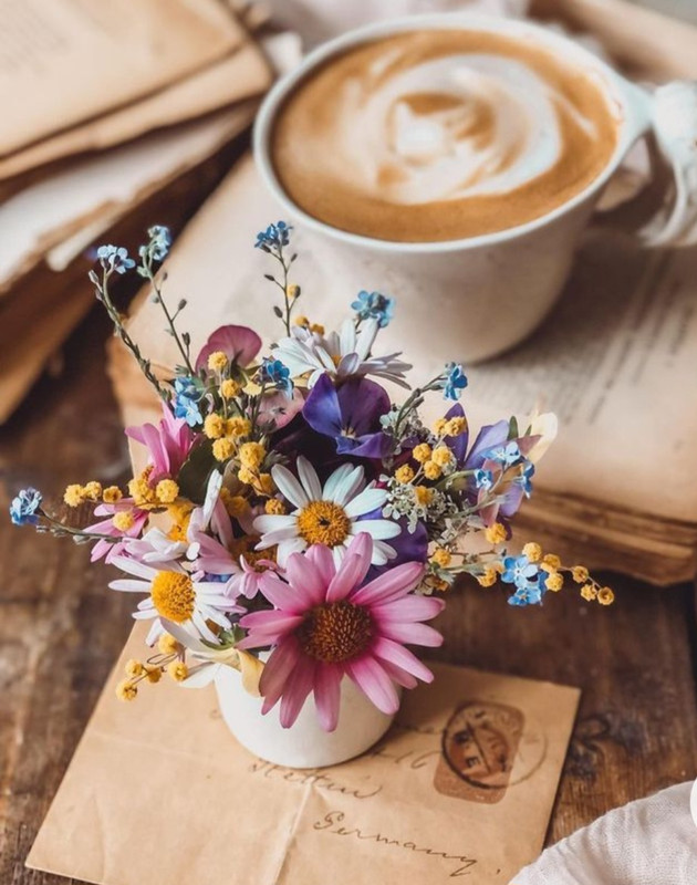 Screenshot_20230211_152019_Chrome