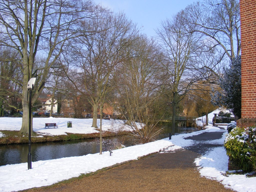 DSCF6781.jpg