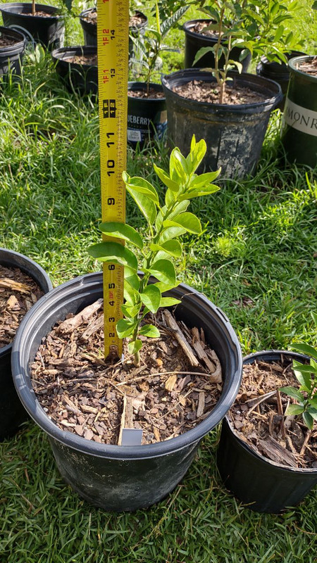 photo_2025-07-23_09-30-07 (11)