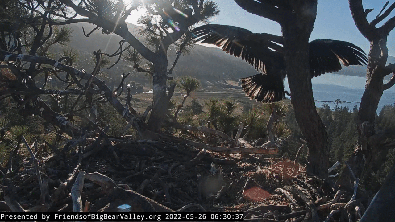 Webp.net-gifmaker (11)