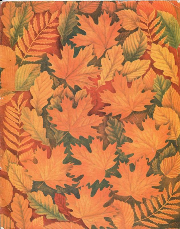 Mogilevskaja-Sofa-Sem-raznocvetnyh-skazok-1981-18