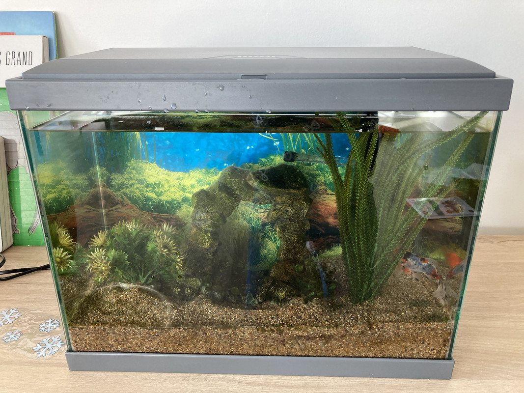 4CD0CFFD-2F3C-411F-AFD8-A509122A50C9