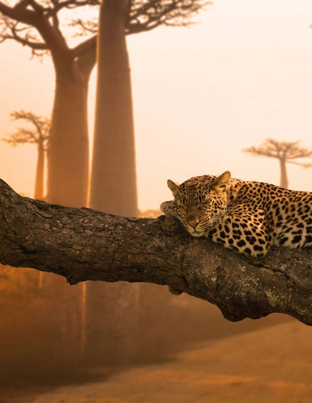 Argos Ago-Set 2022 (9)