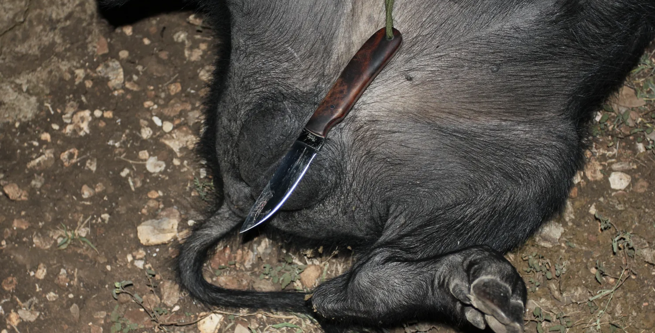 Screen Shot 2026 03 10 at 9 00 27 PM