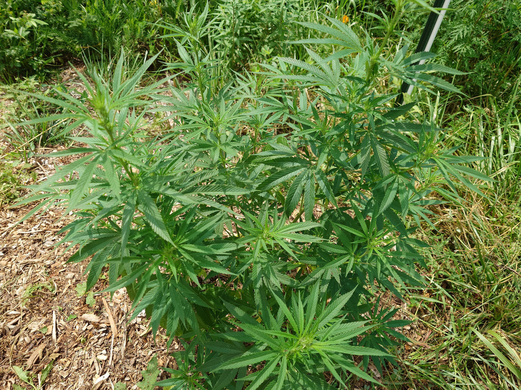 20250807-114622.jpg