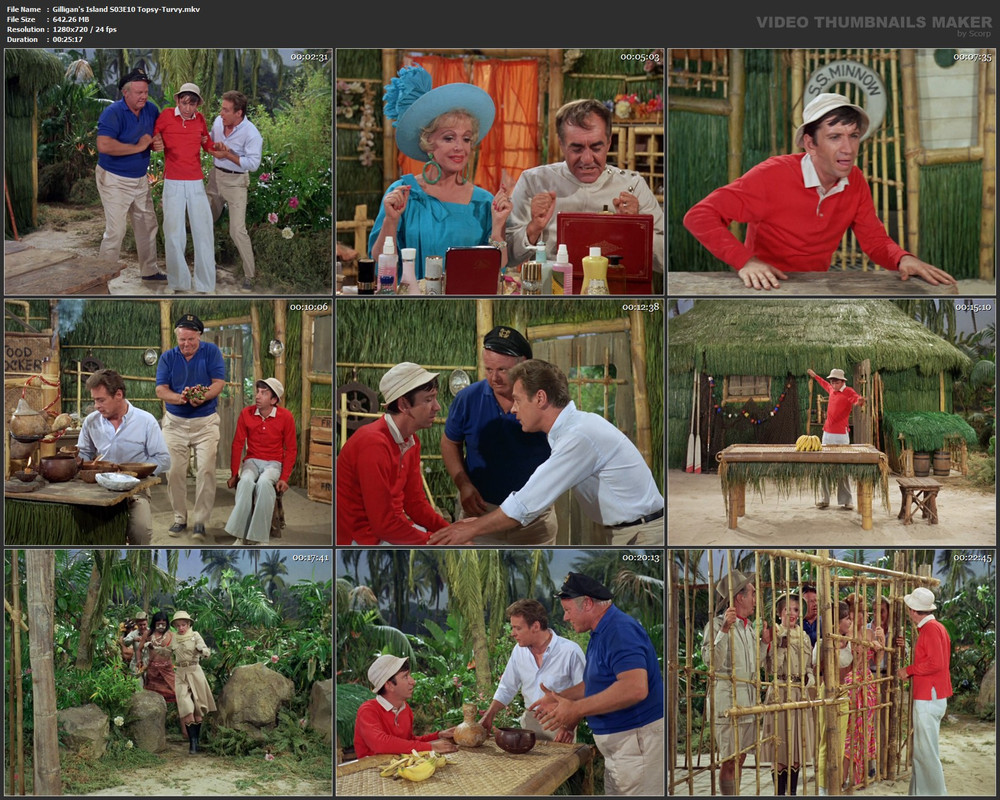 Gilligan's Island S03E10 Topsy-Turvy.mkv