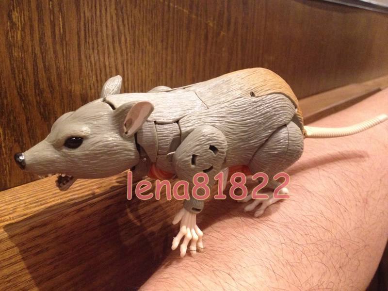 10255754_629386807147732_2281943234807520678_n