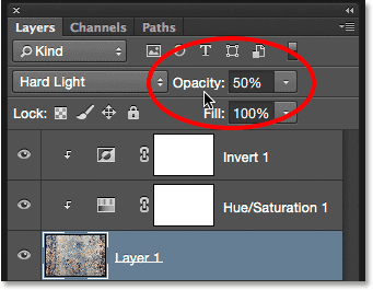 opacity-50