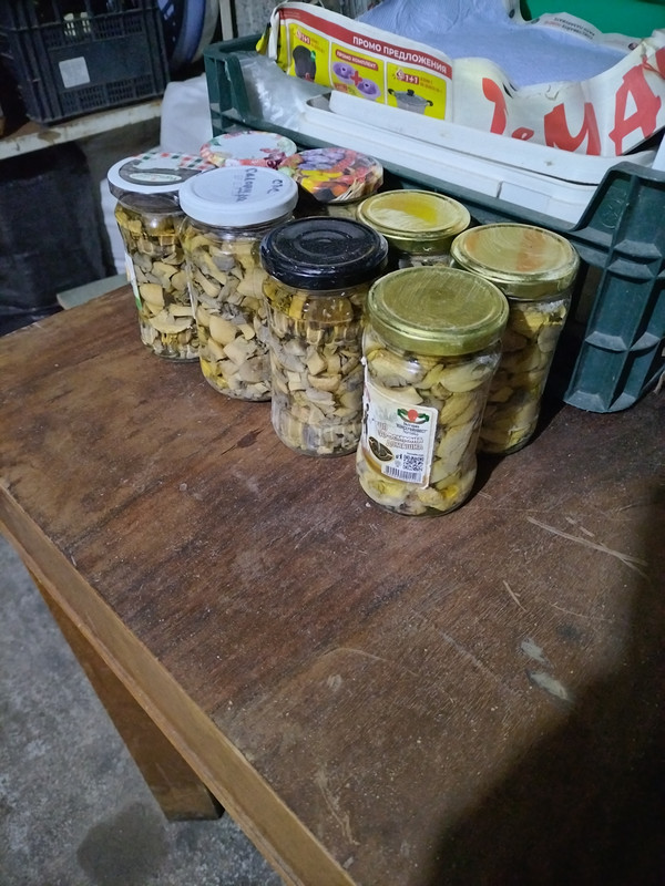 IMG 20260609 213253
