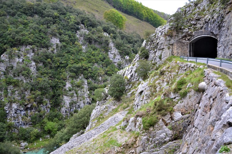 PICOS DE EUROPA-16-5-2013-LEON/ASTURIAS/CANTABRIA - Paseando por España-1991/2016 (47)