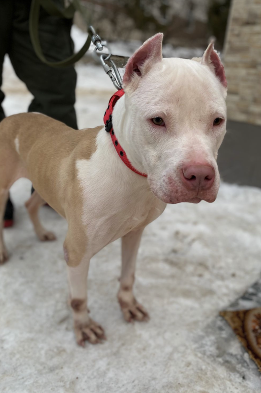 Снимок экрана 2024-12-25 в 17.44.14