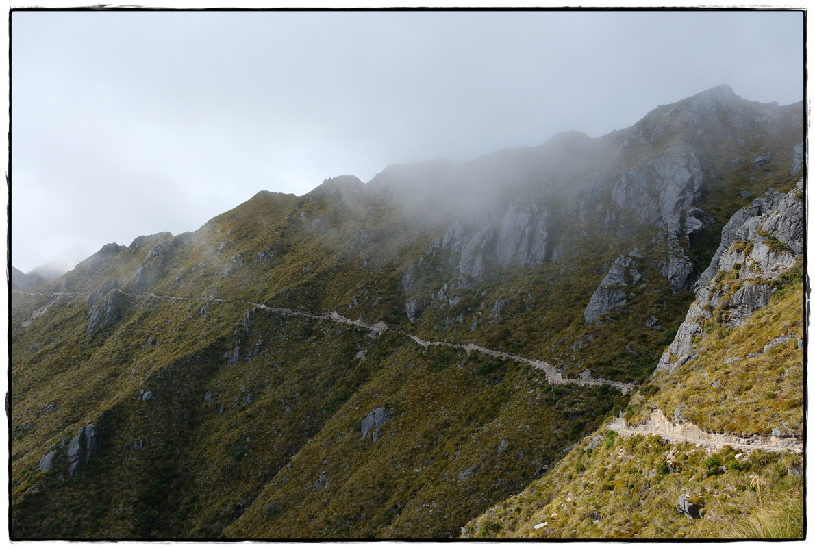 The Old Ghost Road (marzo 2024) - Escapadas y rutas por la Nueva Zelanda menos conocida (28)