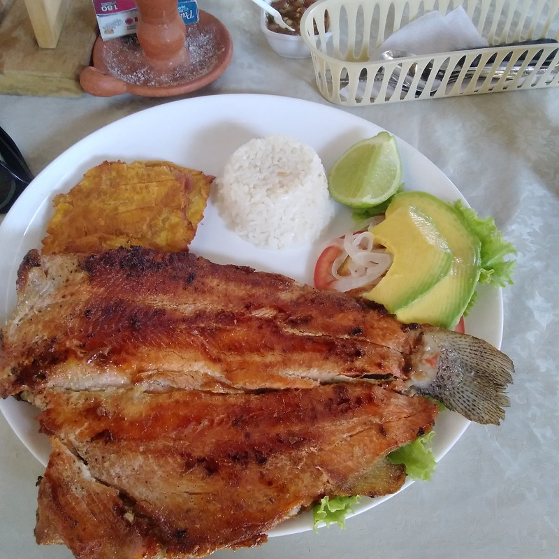 Зимовка 2026, полтора месяца в Колумбии.