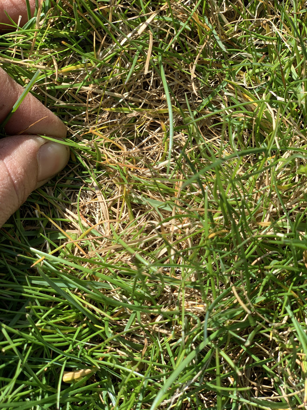 972B47FF-AE7A-4790-9B44-D930F0134CC9