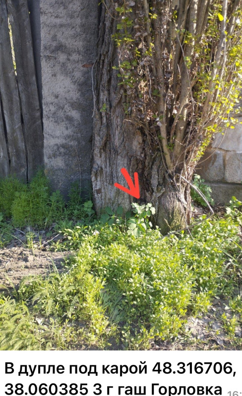 IMG 0552