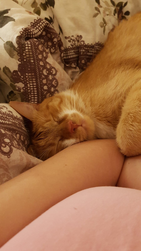 A9CCC639-353D-4EF2-9276-D88A1F664782