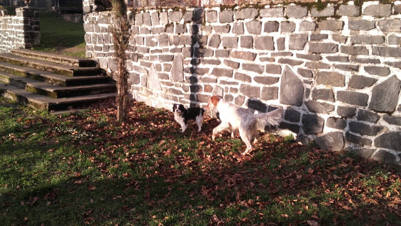 9D2F8728-5AE0-436E-8E67-1EE75B5EE3E6