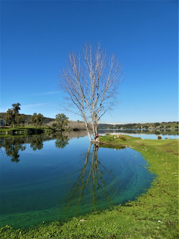 PARQUE NACIONAL DE MONFRAGÜE-2020/2023 - EXTREMADURA Y SUS PUEBLOS -2010-2023 (36)