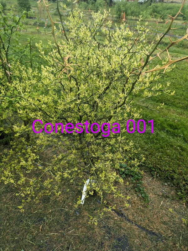 PXL_20240505_182449455~2