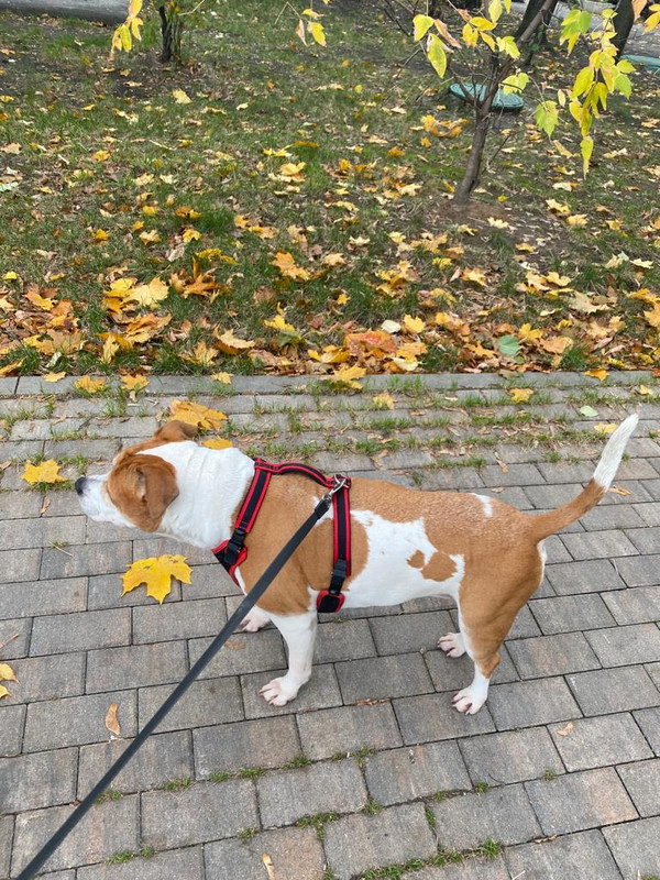 45243B5D-1220-485E-8DF7-655136C6C967