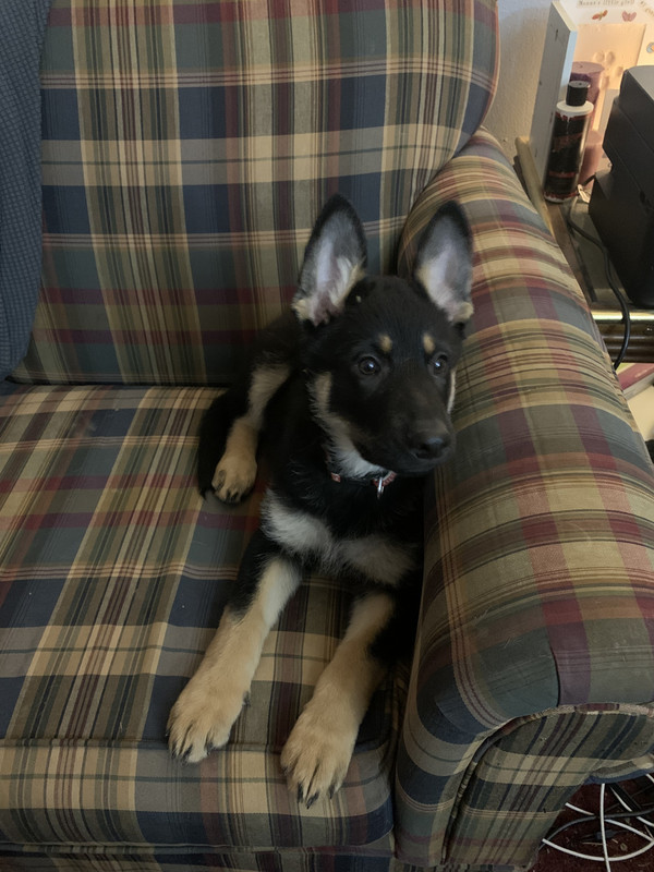 6C912CB4-C503-463C-8AD6-EB8FCE3EF205