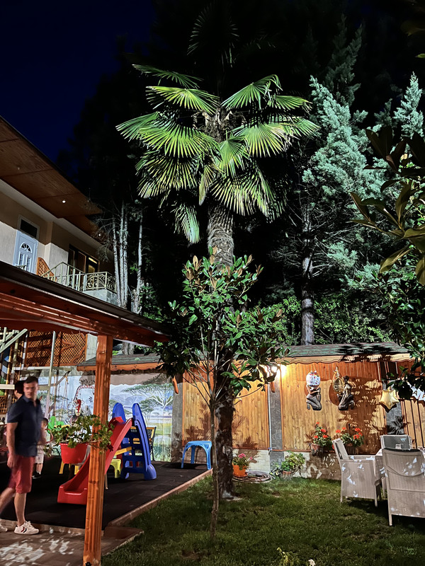 696383A8-2EC4-4B25-B21F-CE65ECFEBA26