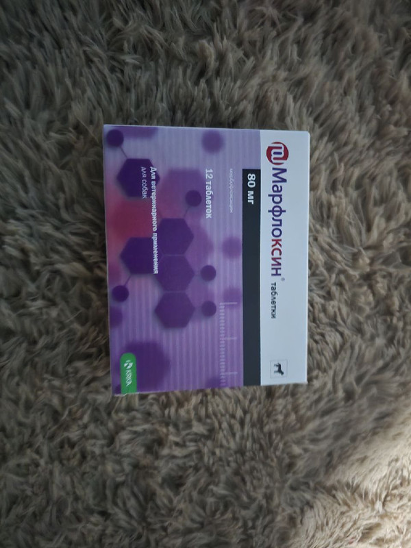 photo 2026 02 25 11 23 32