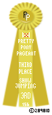 Show-Jumping-156-Yellow.png