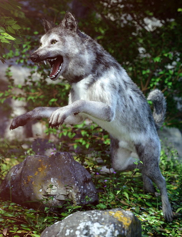 Grey Wolf for Daz Dog 8 [Repost]