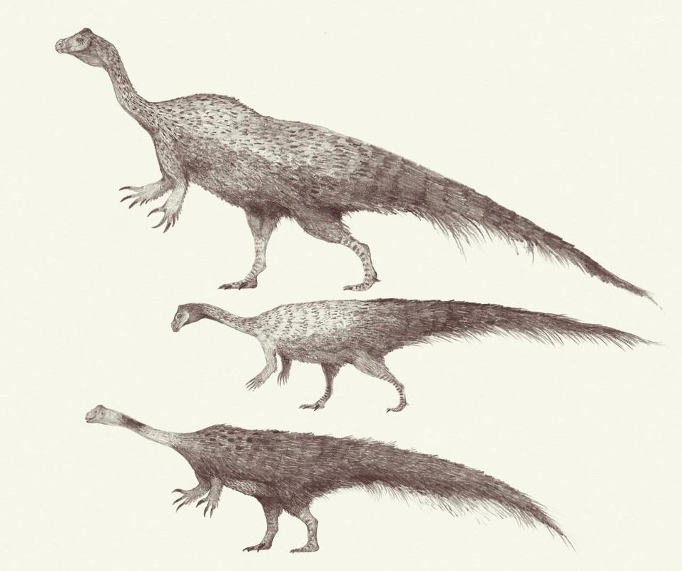 c4f47187714c9484d1d3918d10c34a4a