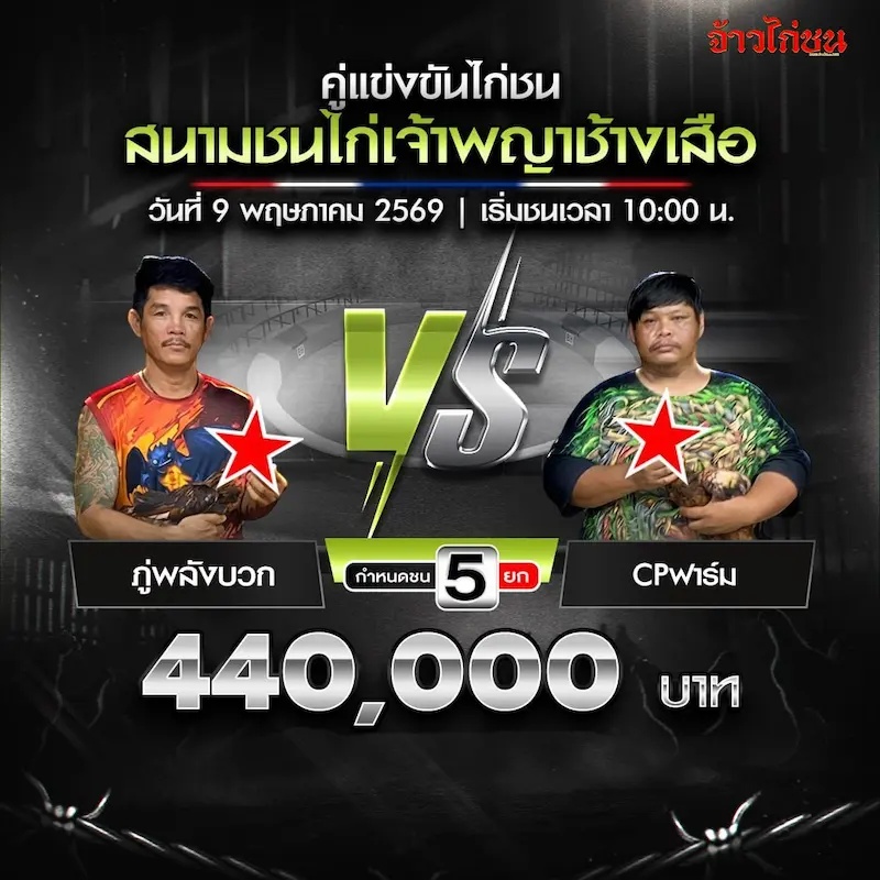 ภู่พลังบวก พบ cpฟาร์ม โปรแกรมไก่ชน สนามชนไก่เจ้าพญาช้างเสือ วันที่ 9 พฤษภาคม 2569