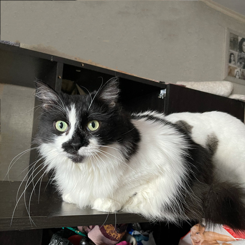 185DAE3D-E853-4970-992C-424B00F7AA48