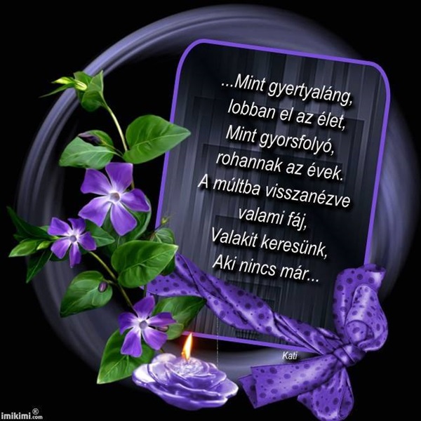 11143641_1600646203538664_5647647198609989750_n