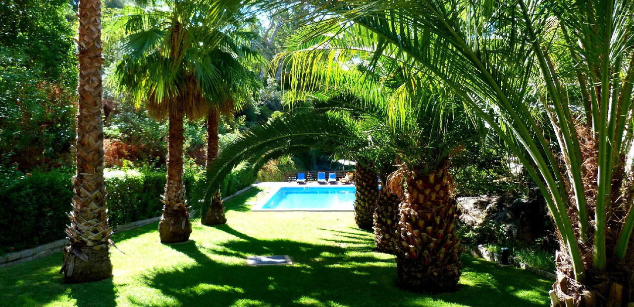 greenalgarve.jpg