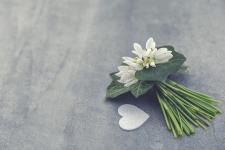 [Image: 76230314-mazzo-dei-bucaneve-su-fondo-di-...io-pri.jpg]