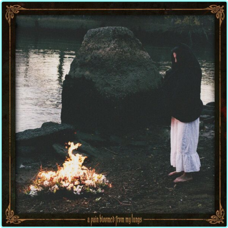 [Image: s2xj1xf7umx2.png]