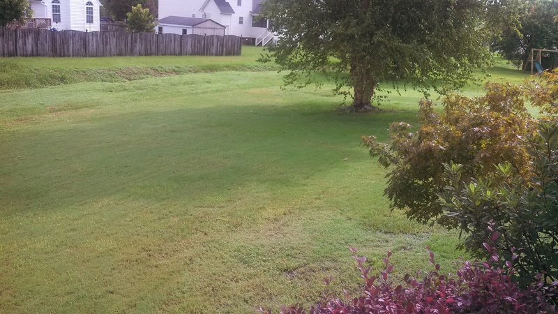 IMG_20140804_093509_681