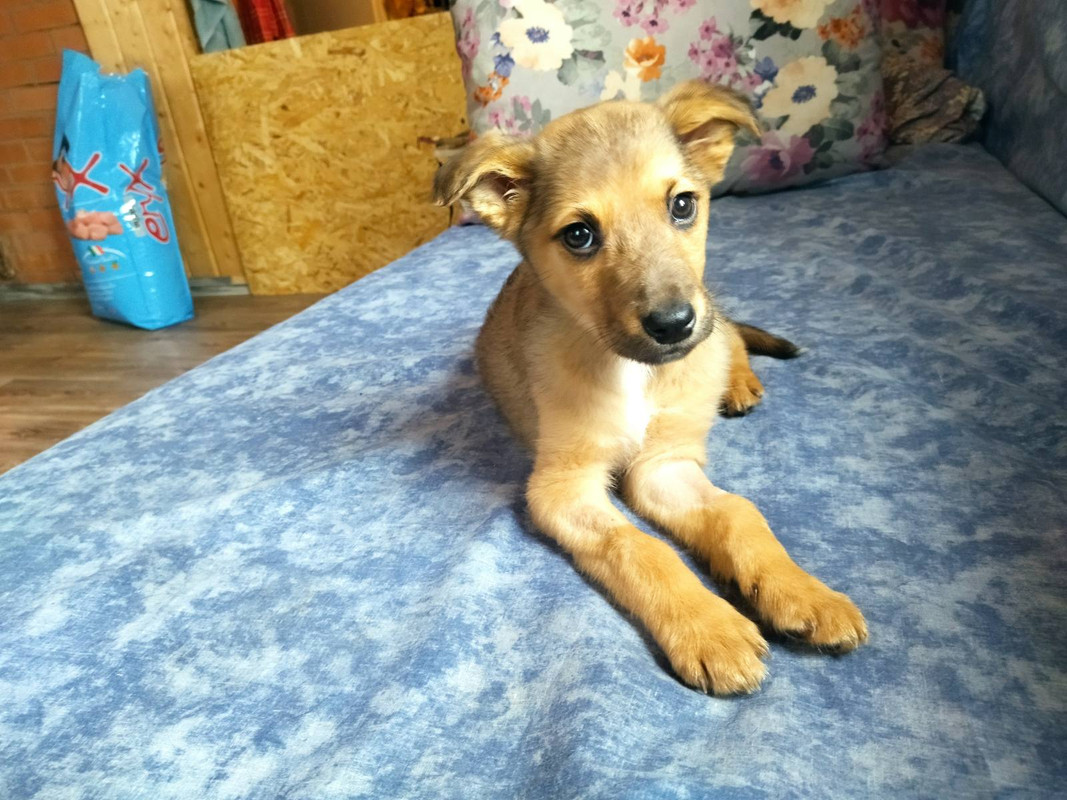 IMG-a6ad3335acd9a927b254ad383c97de57-V